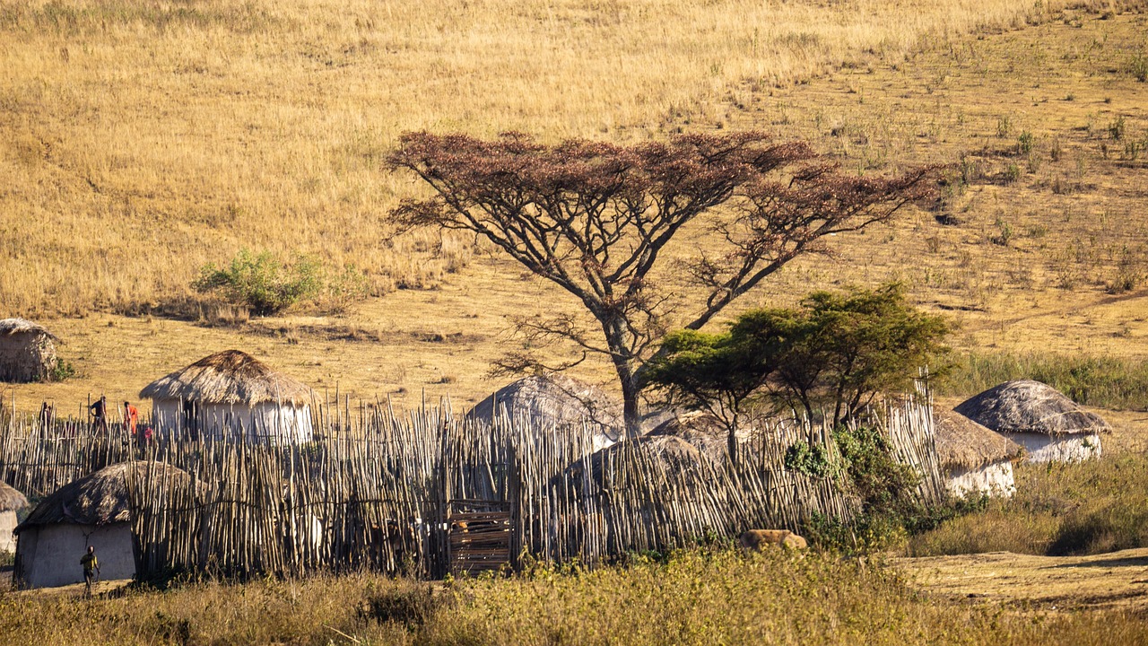 Maasai Culture and Traditions