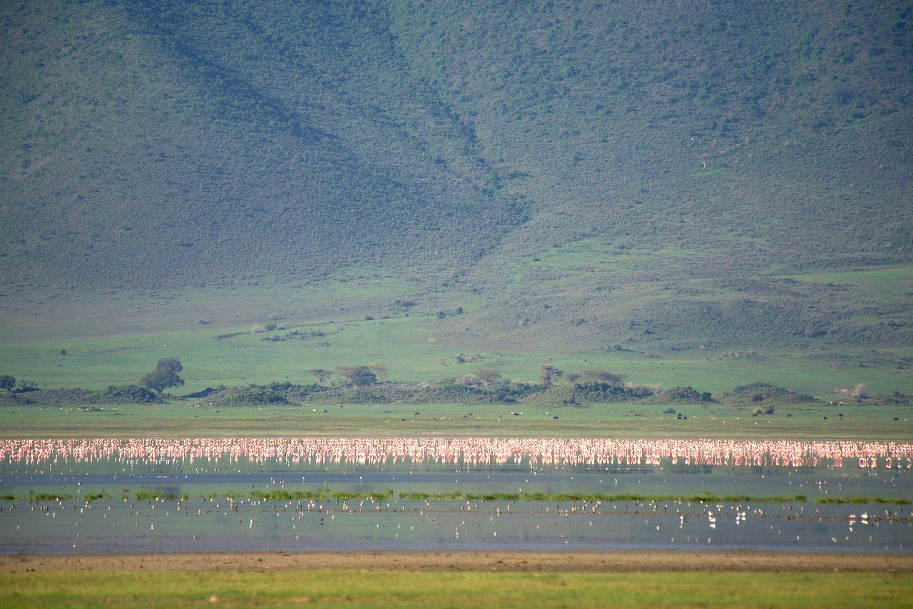 Ngorongoro Crater